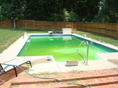 Before Swimming Pool Fill-in - Old Pool